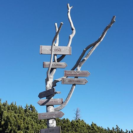 Chalet Zlatica Velika Planina Stahovica Esterno foto