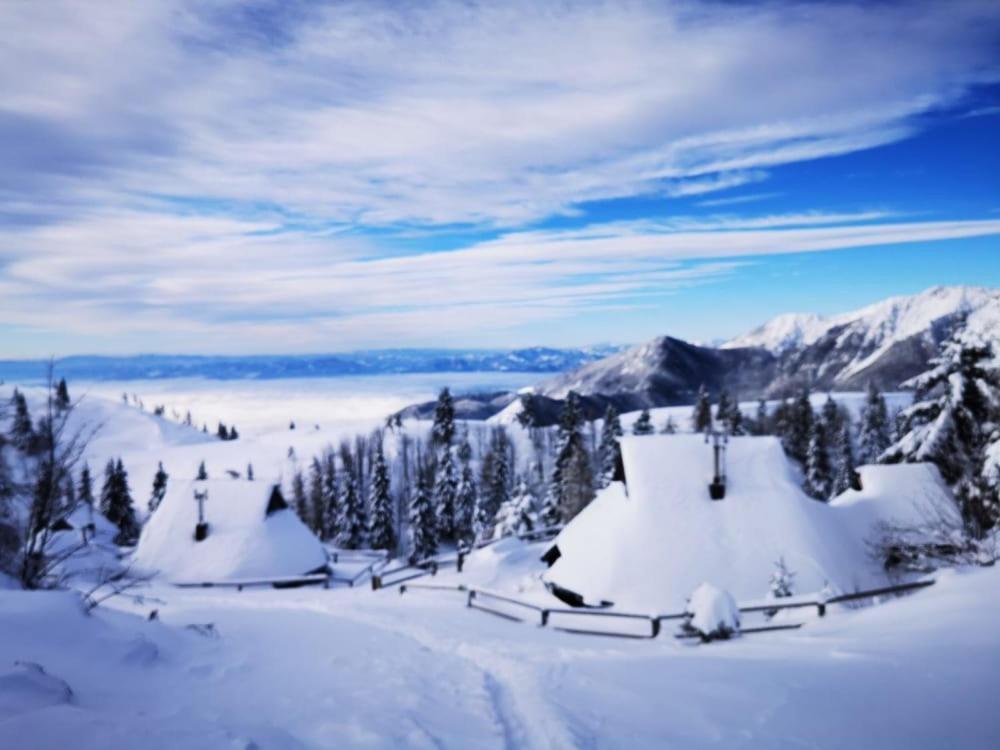 Chalet Zlatica Velika Planina Stahovica Esterno foto
