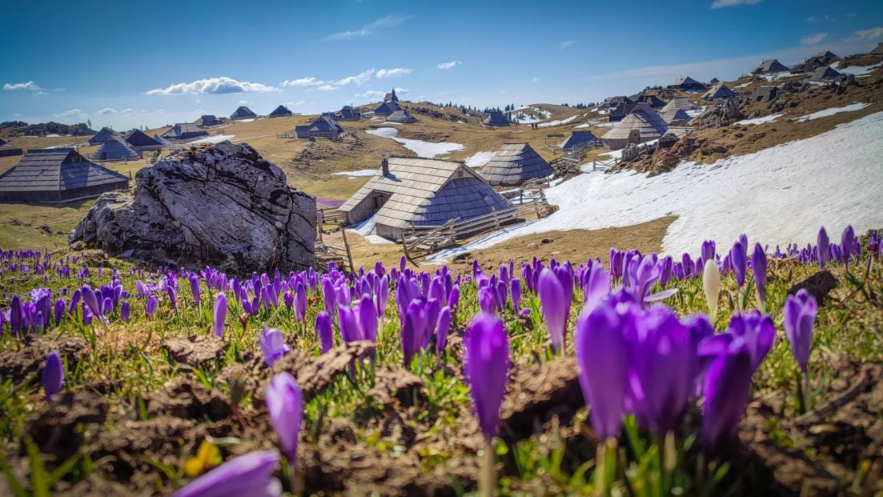 Chalet Zlatica Velika Planina Stahovica Esterno foto