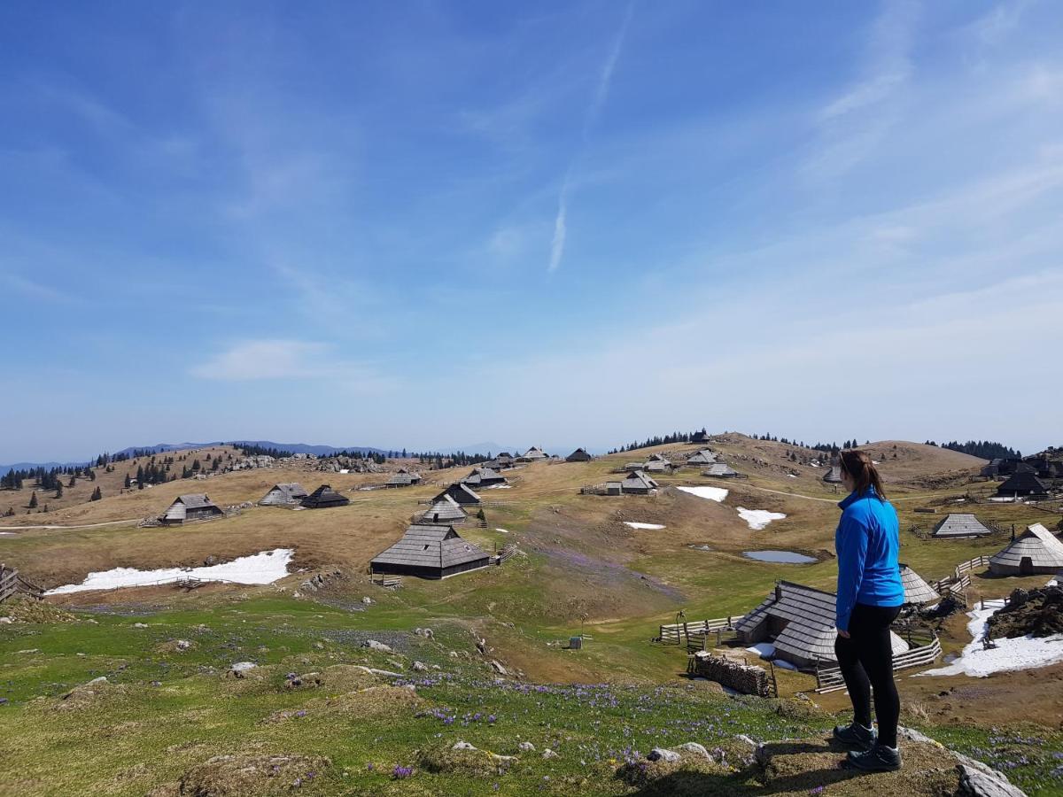 Chalet Zlatica Velika Planina Stahovica Esterno foto