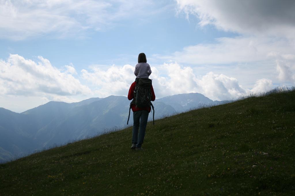 Chalet Zlatica Velika Planina Stahovica Esterno foto