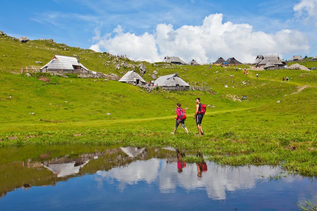 Chalet Zlatica Velika Planina Stahovica Esterno foto