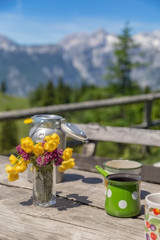 Chalet Zlatica Velika Planina Stahovica Esterno foto